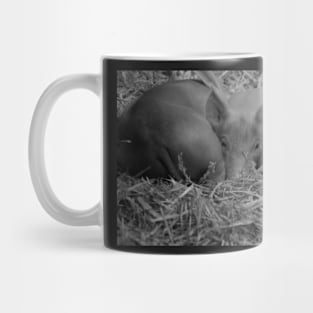 Piggy In The Middle Mug